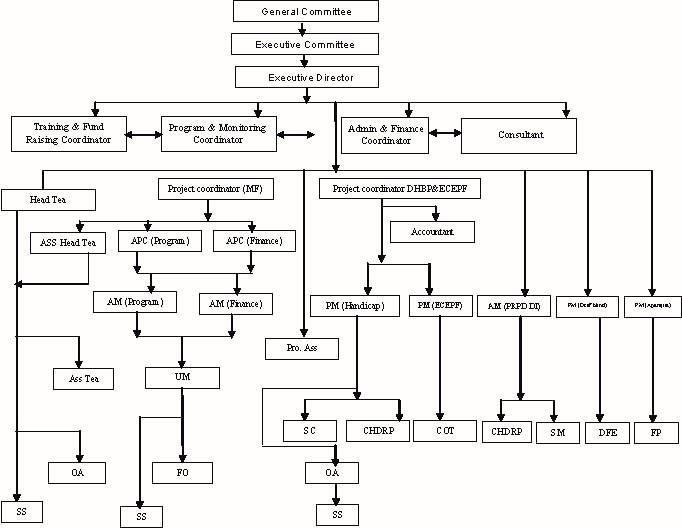 CEDAR Organogram